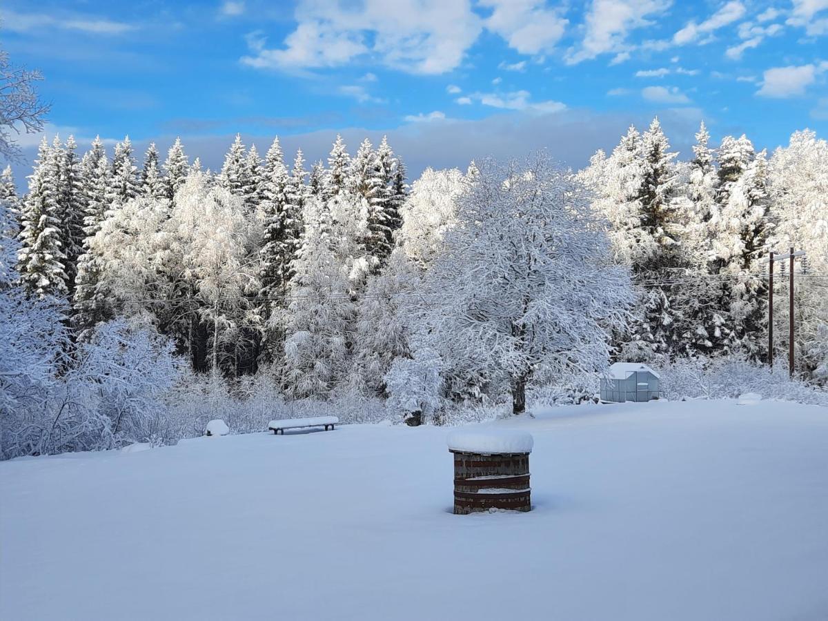 Geijersholms Herrgard Hagfors Bagian luar foto