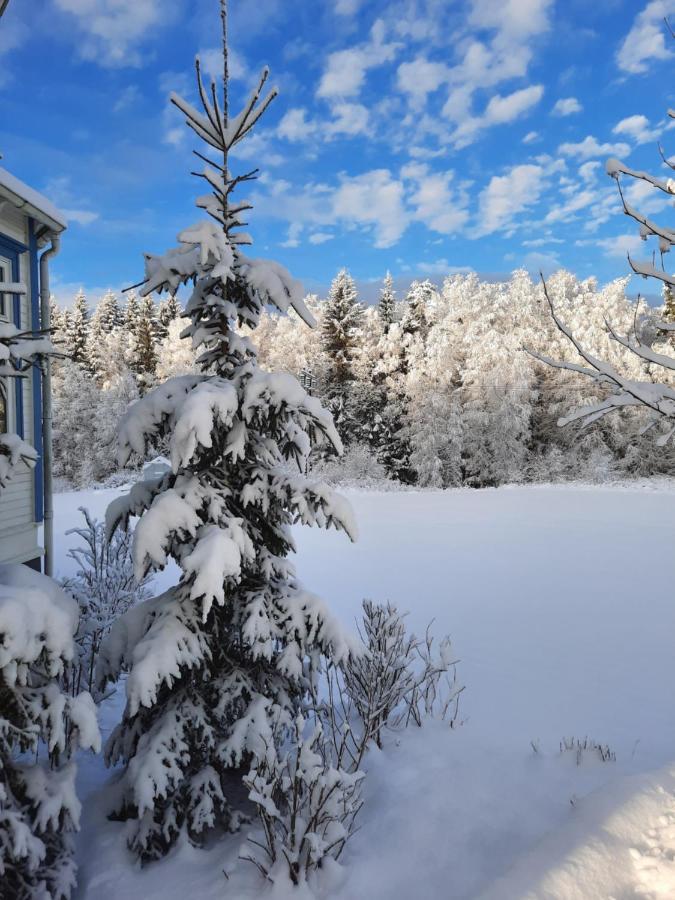 Geijersholms Herrgard Hagfors Bagian luar foto